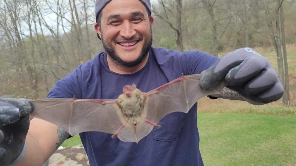 Animal Removal Manlius