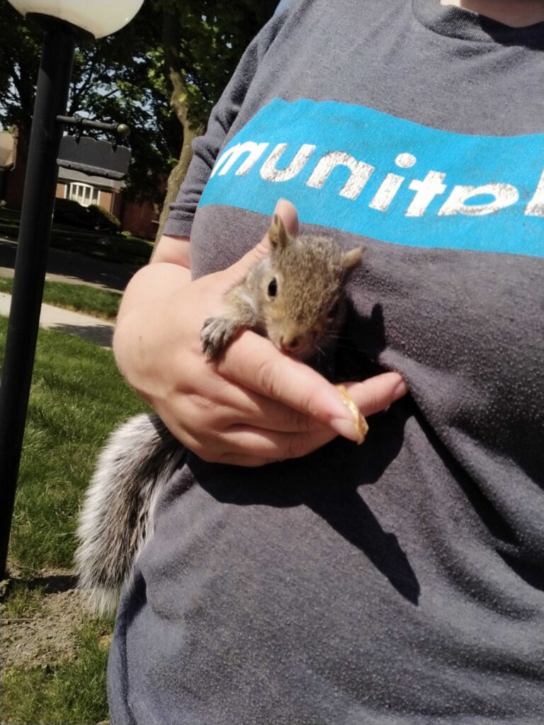 Animal Removal Manlius